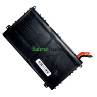 Náhradná batéria pre PDA 10Buckles-9Lines PN1308